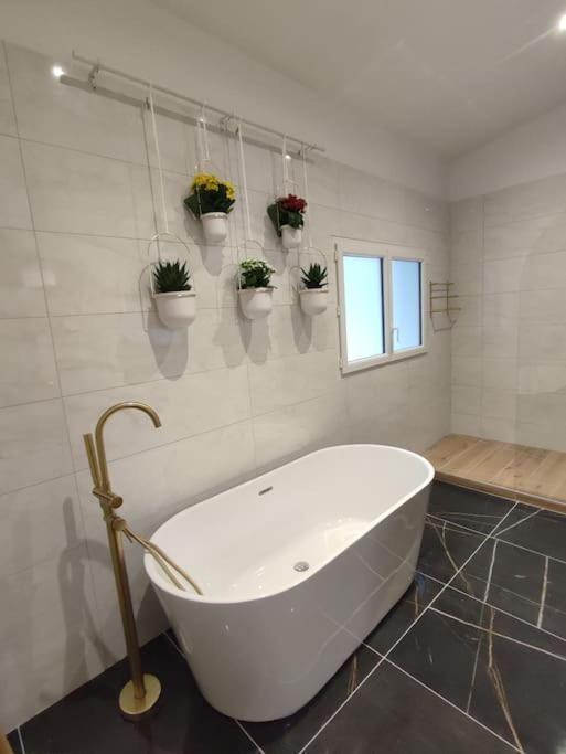 Appartement Le Secret 140M2, Proche Sanctuaires, Climatise Lourdes Bagian luar foto